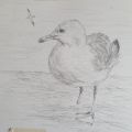 'Nancy' Pencil on Paper, 30x25cm approx.